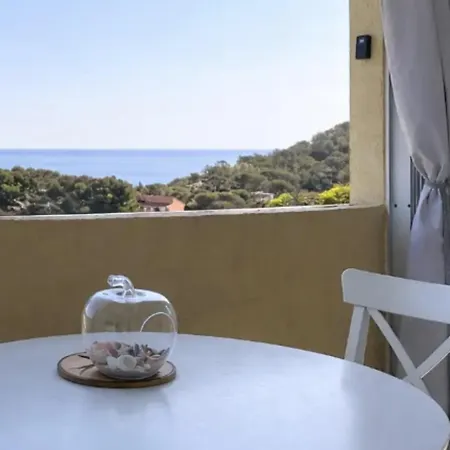 Terrace Sea View In Saint-raphael 公寓